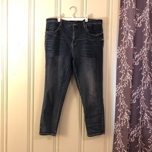 Seine Jeans 27 Inch - Distressed - Plus Size 18
